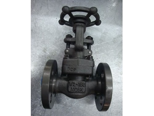 Flanged Forged Steel Valves
